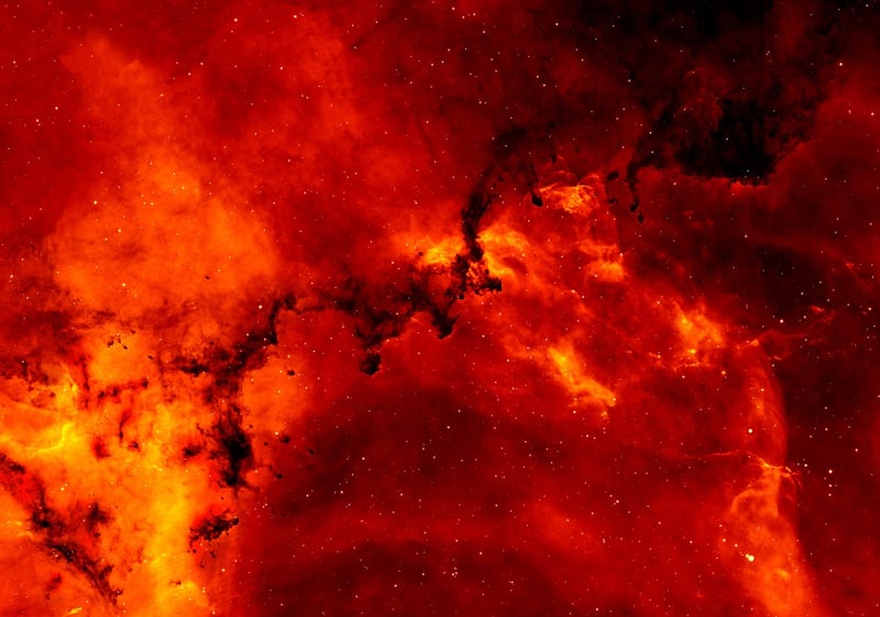 Nebula Nuptial Feasts